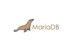 Bazy danych: Google przechodzi z MySQL na MariaDB