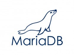 MariaDB Corporation otrzymuje świeży kapitał i nowe kierownictwo